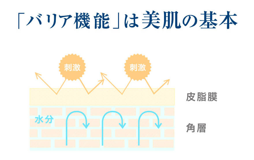 バリア機能